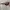 Armani	 Streetwear Y2K Sunglass Pria burgundy red photo 4