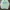 GAP Streetwear Minimalist Sweater Pria green blue photo 1
