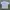 Nike Vintage T-shirt Pria White