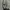 Lee Vintage Casual Sweater Pria gray photo 5