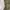 Polo Ralph Lauren Vintage Casual Swimwear Pria tan photo 4