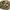 Polo Ralph Lauren Vintage Casual Swimwear Pria Tan