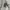 Timberland Vintage Casual Sweater Pria gray photo 6