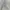 Timberland Vintage Casual Sweater Pria gray photo 4