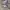 MLB Vintage Bomber jacket Pria gray photo 5