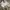 Dickies Skater Casual Formal pants Pria khaki photo 7