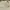 Anti Social Social Club Streetwear Luxury T-shirt Pria white photo 6