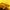 Carhartt Minimalist Casual Fleece Pria Yellow