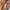 Carhartt Gorpcore Sportswear Parka Pria tan brown photo 5