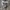 Streetwear Sportswear Scarf Pria silver black photo 4
