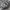 Streetwear Sportswear Scarf Pria silver black photo 2
