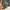 Polo Ralph Lauren Casual Jumper Pria green photo 7