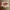 Dickies Streetwear Biker Casual shirt Pria khaki cream photo 2