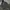 Penfield Gorpcore Casual Parka Pria black photo 4