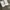Nike Y2K Sneakers Pria gray photo 3
