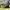Nike Y2K Sneakers Pria gray photo 5