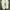 Nike Y2K Sneakers Pria white green photo 4