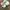 Nike Y2K Sneakers Pria white green photo 3