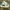 Nike Air Jordan Y2K Sneakers Pria Green
