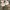 Nike Air Jordan Y2K Sneakers Pria green photo 3