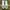 Nike Air Jordan Y2K Sneakers Pria Green