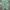 Nike Air Jordan Y2K Sneakers Pria green photo 4