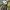 Nike Air Jordan Y2K Sneakers Pria green photo 5