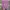 Nike Y2K Sneakers Pria purple photo 3