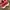 Nike Air Jordan Y2K Sneakers Pria red black photo 3