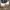 Adidas Streetwear Sneakers Pria white black photo 3