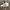 Adidas Streetwear Sneakers Pria White Black