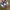Nike Y2K Sneakers Pria white red blue photo 3