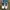 Nike Y2K Sneakers Pria white red blue photo 2