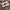 Nike Y2K Sneakers Pria multicolor photo 3