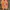 Nike Y2K Sneakers Pria multicolor photo 4