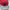 Hurley Skater Casual Hat Pria Red Black