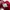 Hurley Skater Casual Hat Pria red black photo 7