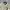 Polham Streetwear Bomber jacket Pria khaki black photo 2