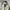 Polham Streetwear Bomber jacket Pria khaki black photo 3