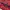 Urban Research Streetwear Gorpcore Puffer jacket Pria red photo 5