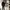Christopher Shannon Sherpa Fleece Cowl Neck Pullover photo 1