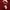 Ben Davis Casual Hoody Pria red photo 7