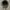 Vintage Biker Hat Pria brown black photo 4