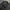 Mizuno Casual Puffer jacket Pria black photo 6