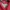 Uniqlo Casual Puffer jacket Wanita red photo 4
