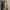 Streetwear Casual Bomber jacket Pria green black cream photo 5