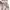 Gorpcore Goth Fur coat Wanita tan cream photo 5