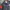 Fila Grunge Windbreaker Pria red black photo 5