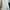 Luxury Minimalist Prom dress Wanita white photo 4