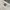O'Neill Vintage T-shirt Pria white photo 7
